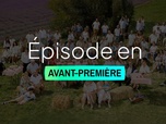 L'amour est dans le pré - 20 ans - Épisode 2 - Partie 2