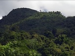 Invitation au voyage - 31/10/2024 - El Yunque, la forêt enchantée de Porto Rico