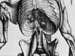 Invitation au voyage - 08/10/2026 - En Égypte, le père cruel de l'anatomie