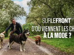 Sur le front - 25/05/2026