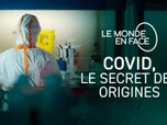 Le monde en face - Covid, le secret des origines