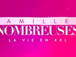 Familles nombreuses : la vie en XXL du 17 juillet 2026 - Episode 31