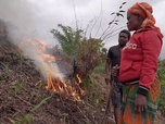 ARTE Reportage - Madagascar : terre de feu (2022)