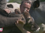 Dr Cath - Mission adoption - S2 E7