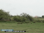 Enquête d'action - Braqueurs et forcenés : les gendarmes de Guadeloupe font face !