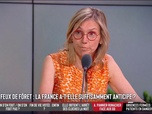Les Grandes Gueules - Lutte contre les feux de forêt : La France a-t-elle suffisamment anticipé ?