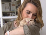 La vie secrète des chats - S2E1 - Du chat des villes au chat des champs
