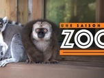 Une saison au zoo - S8 E28