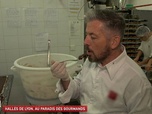 Un jour, un doc - Halles de Lyon, au paradis des gourmands
