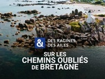 Des Racines et Des Ailes - Sur les chemins oubliés de Bretagne