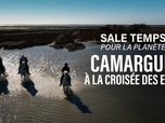 Sale temps pour la planète - Camargue, à la croisée des eaux