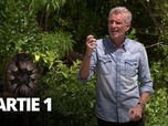 Koh-Lanta : Le Feu Sacré du 7 mars 2023 - Episode 03 (Partie 1)