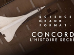 Science grand format - Concorde, l'histoire secrète