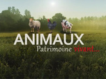 La France en Vrai