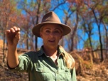 Australie, la ruée vers l'or - S10E18 - Le grand retour
